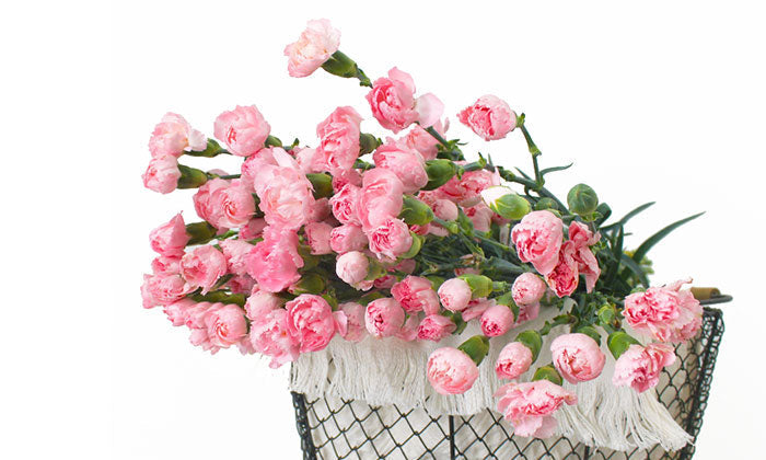 Mother’s Day Messages, Wishes & Quote Ideas