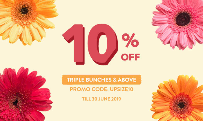 JUNE SPECIAL: UPSIZE & SAVE