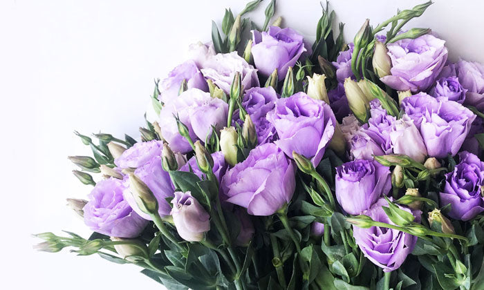 Eustoma: Not A Rose, But Looks Just As Sweet