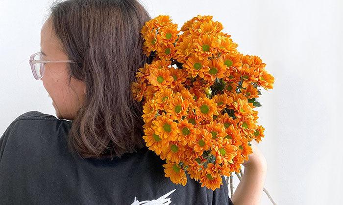 Gifting Chrysanthemums in Singapore: What you need to know