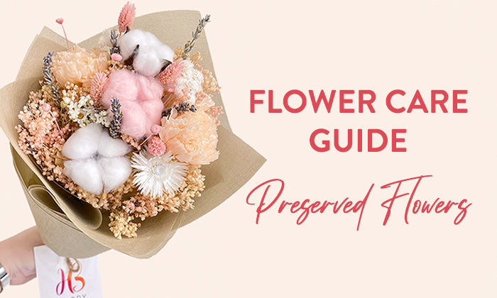 Flower Care Guide: Preserved Flowers