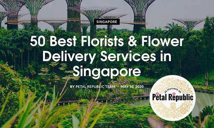 We are featured on Petal Republic!