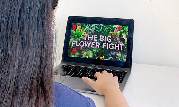 Top 10 Must-Watch Flower Videos & Shows